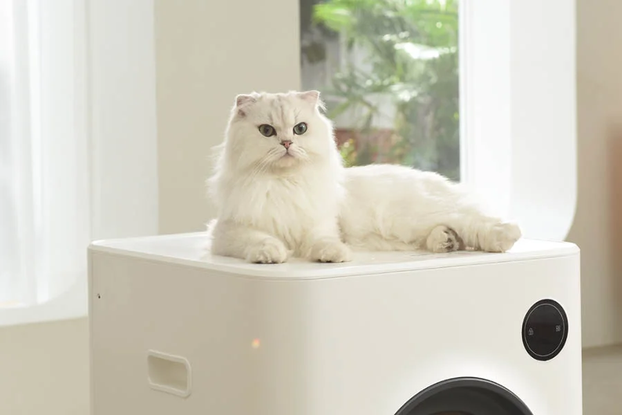 auto cleaning cat box